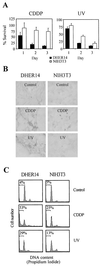 FIG. 1