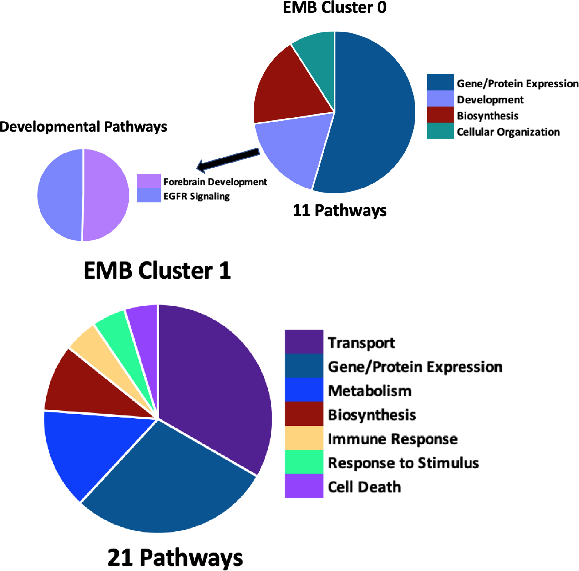 Figure 3: