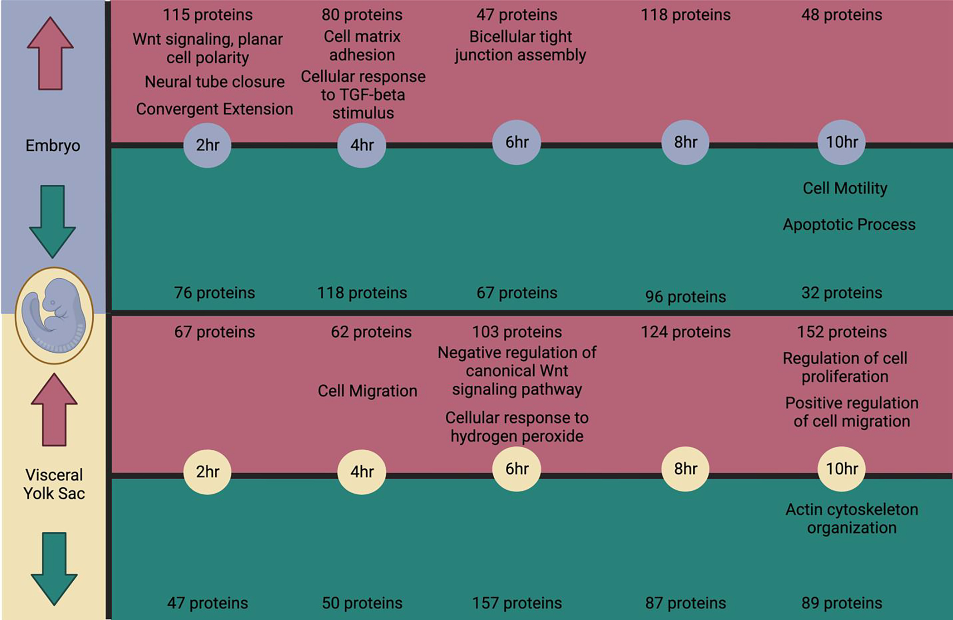 Figure 6: