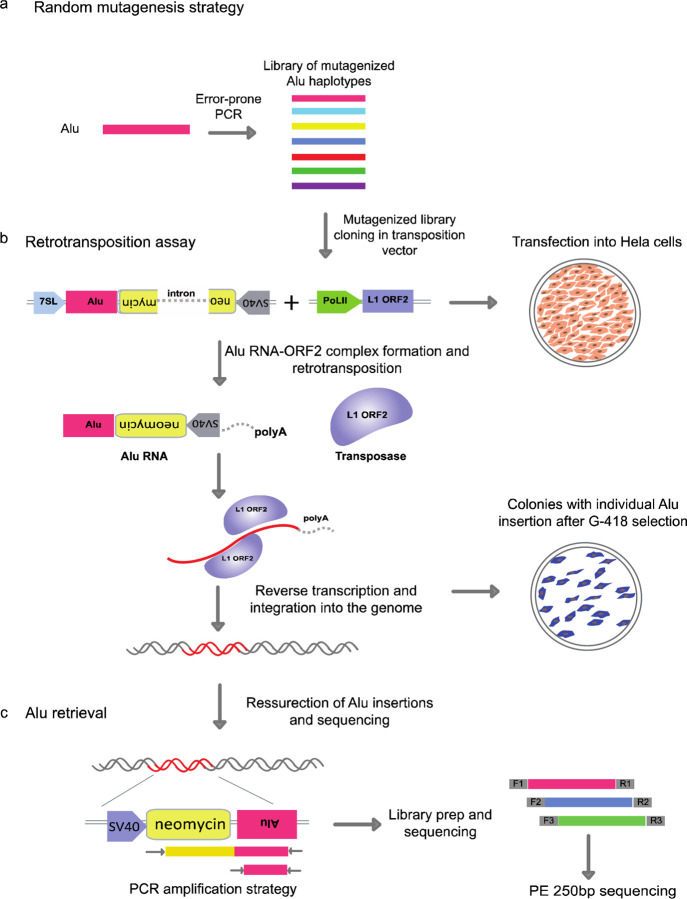 Figure 1: