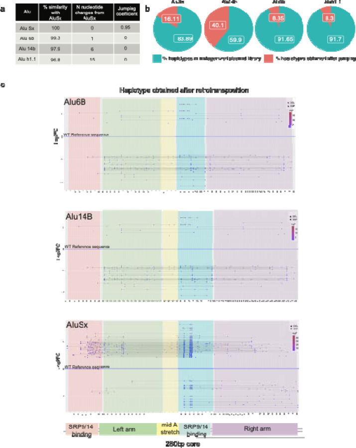 Figure 2: