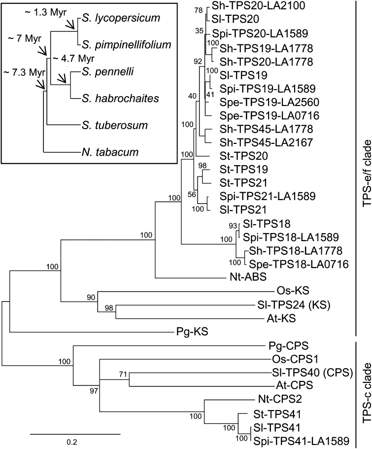 Figure 3.