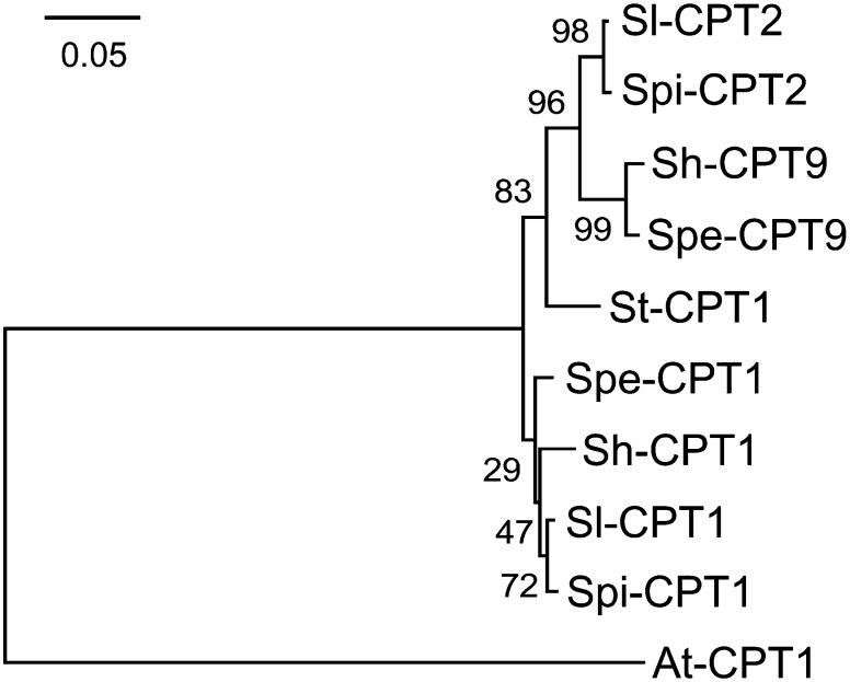 Figure 5.