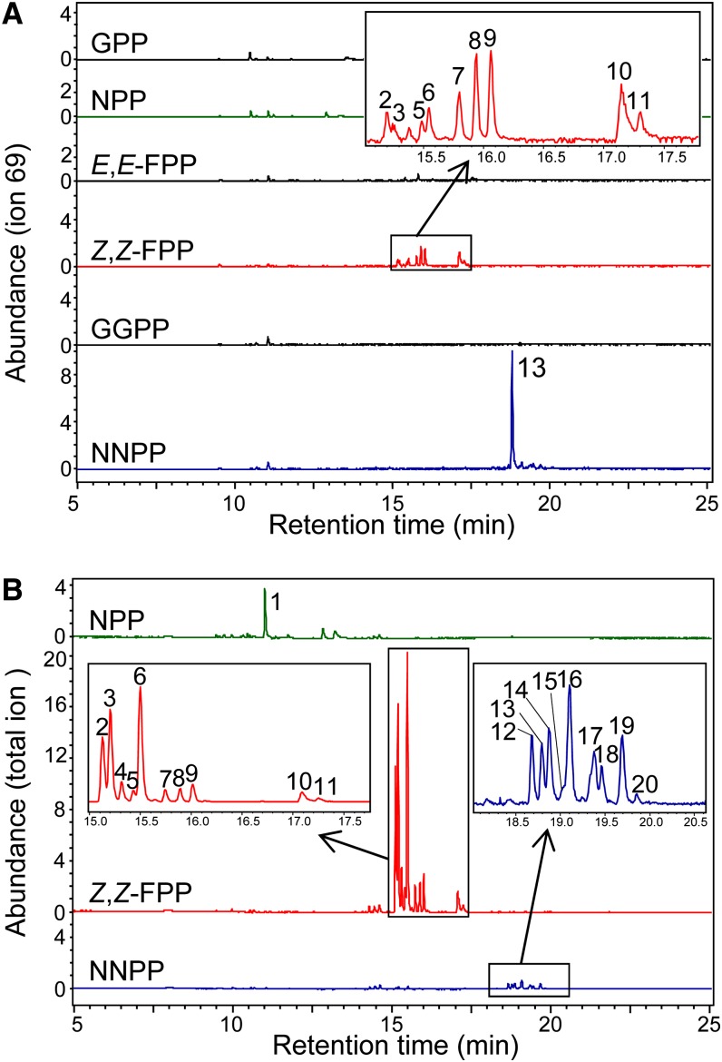 Figure 6.