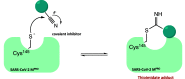 Figure 37