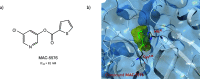 Figure 43