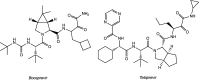 Figure 19