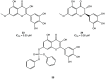 Figure 31