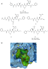 Figure 24