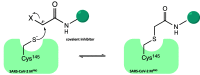 Figure 32