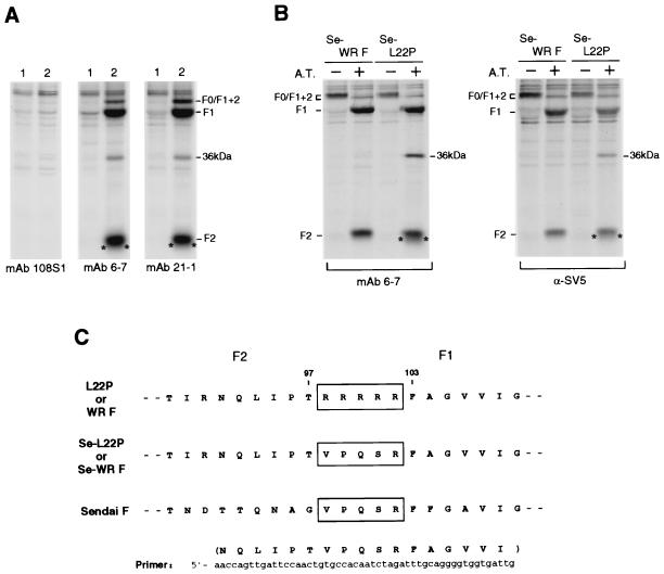 FIG. 1