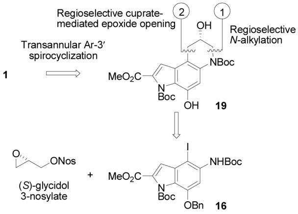 Scheme 2