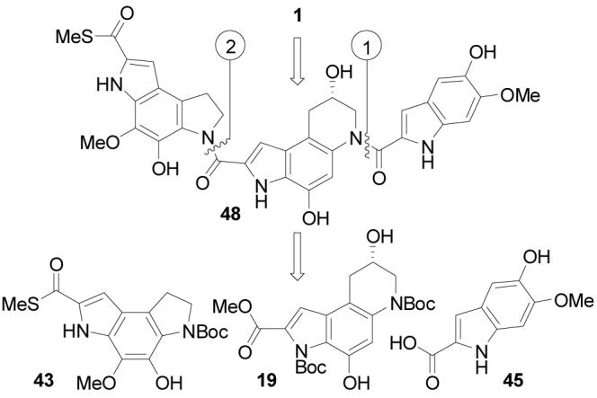 Scheme 1