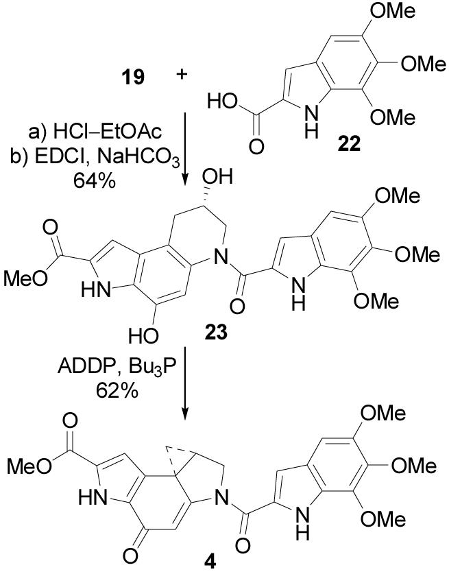 Scheme 5