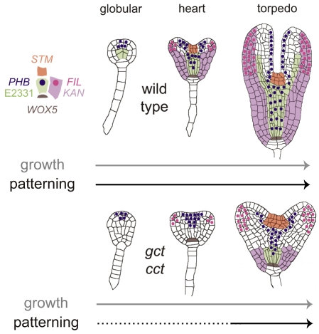 Fig. 8.