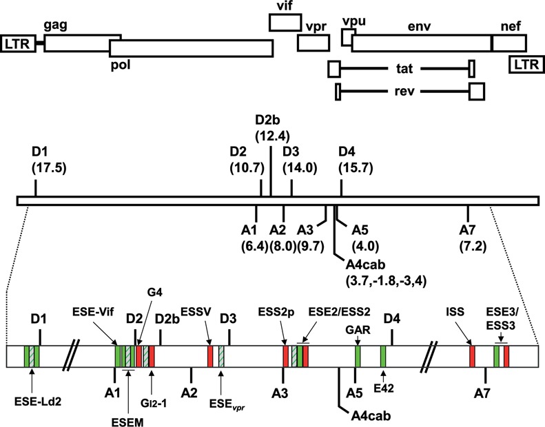 Figure 2.