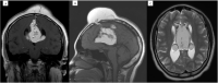 Fig. 3 –