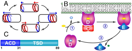 Fig. 1.