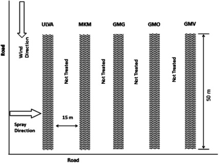 Fig. 3. Diagrammatic layout of the field trial.