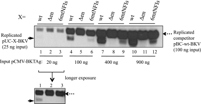 Fig 6