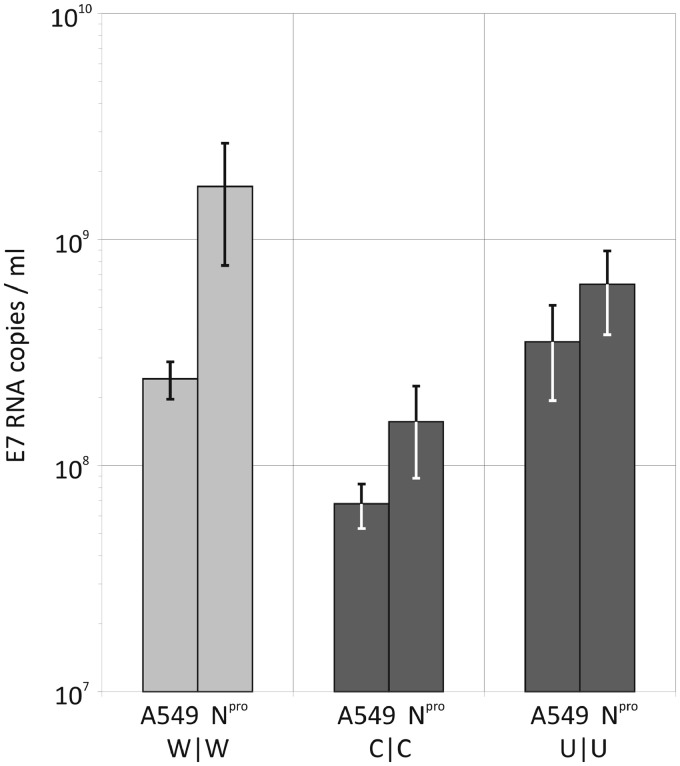 Figure 11.