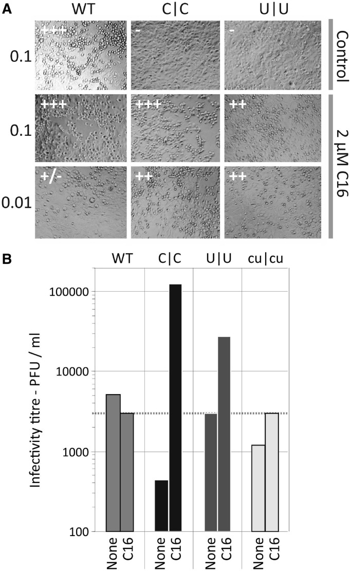 Figure 14.