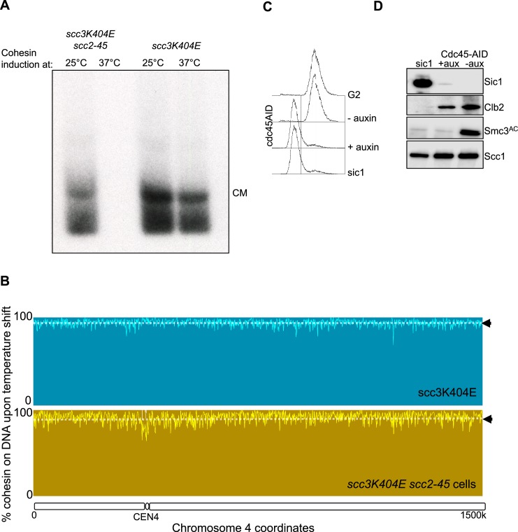 Figure 5—figure supplement 2.