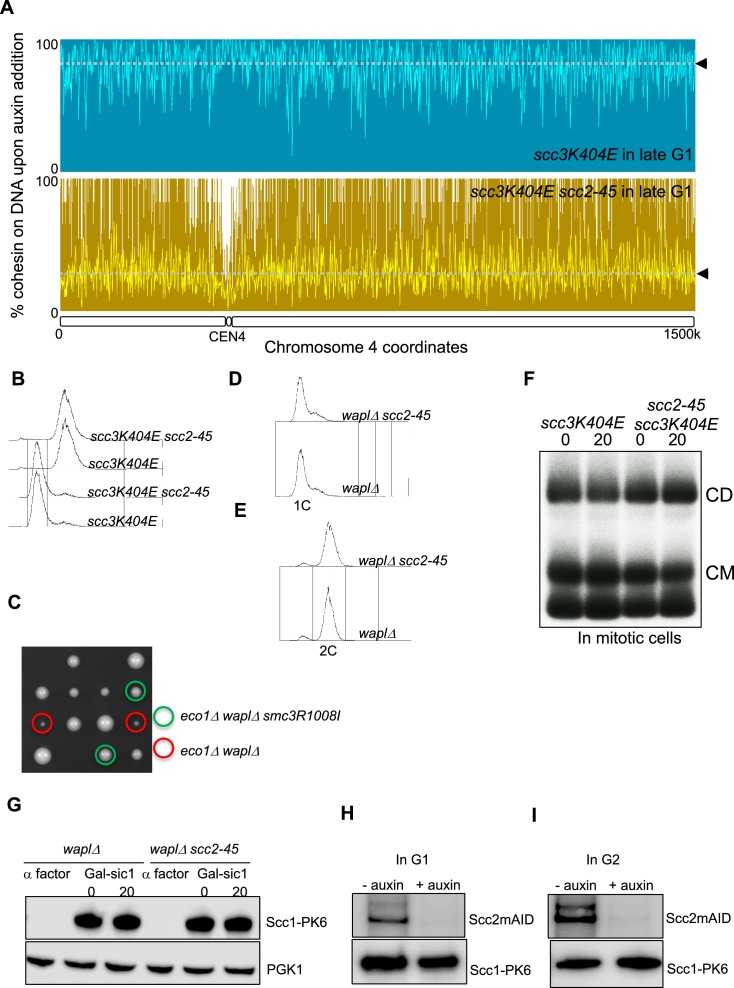 Figure 1—figure supplement 1.