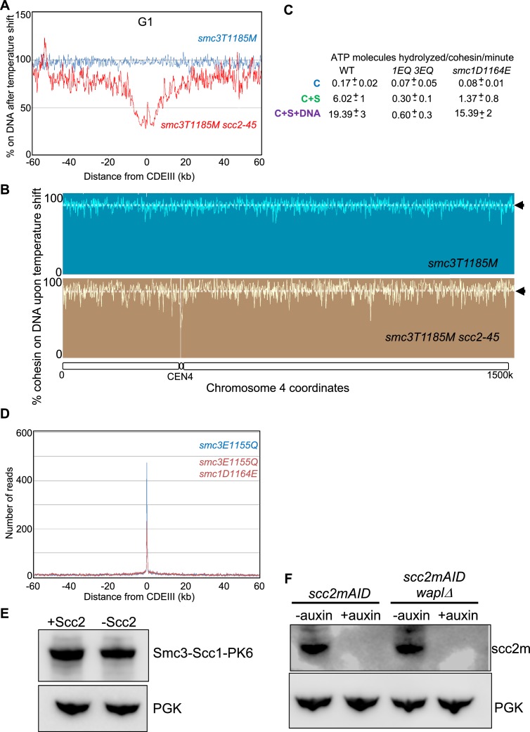 Figure 4—figure supplement 1.