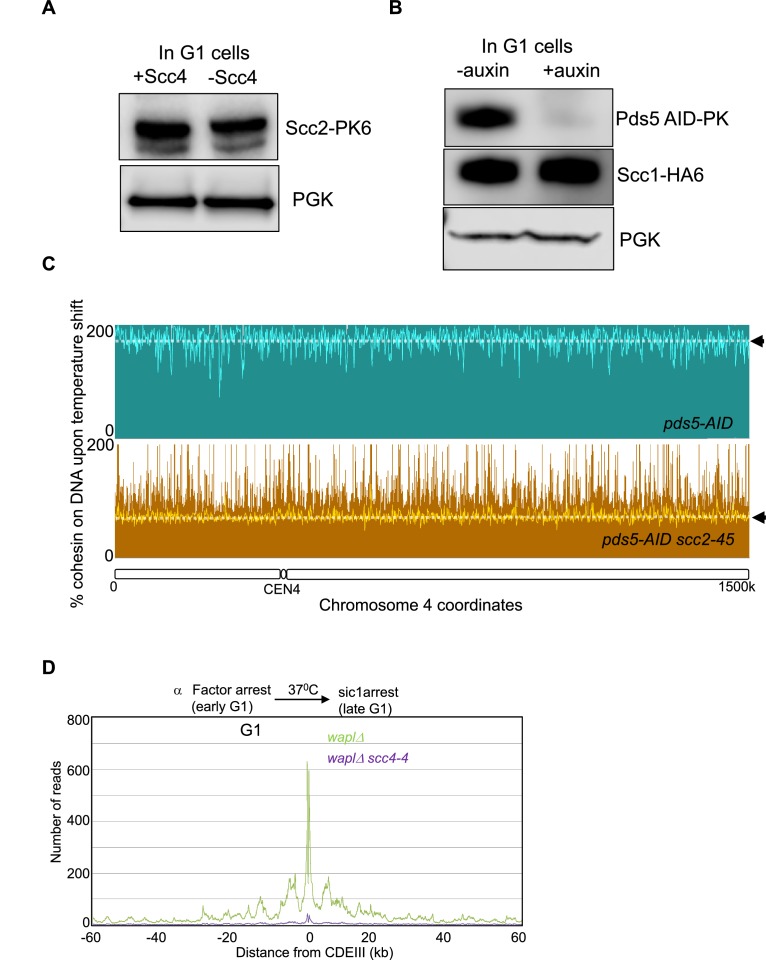 Figure 3—figure supplement 1.