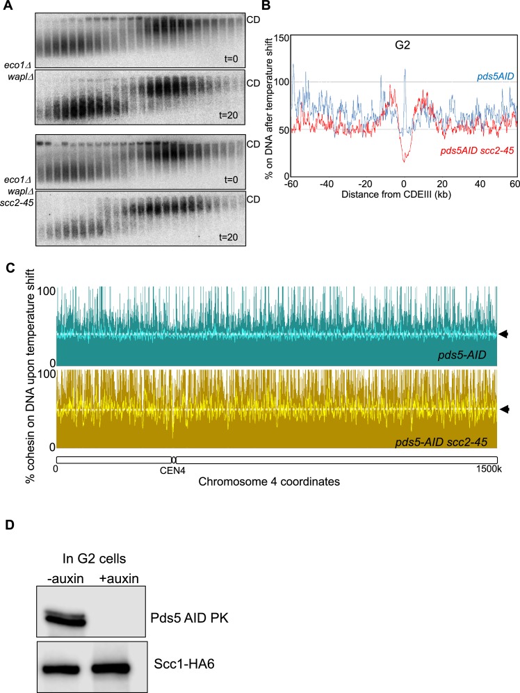 Figure 5—figure supplement 1.