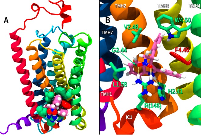 Figure 4