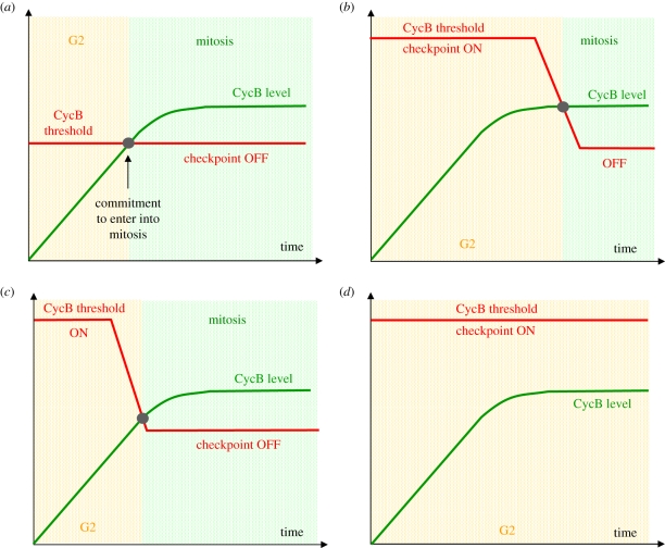 Figure 4.