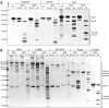 Fig. 2