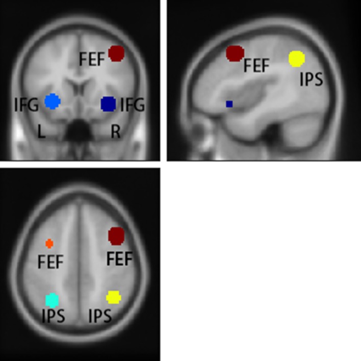 Fig 6