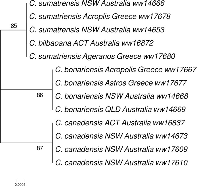 FIGURE 3