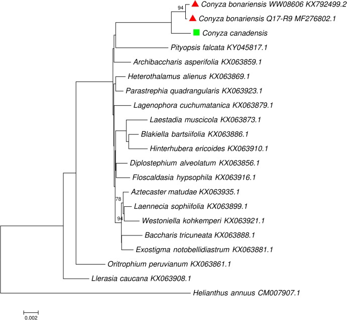 FIGURE 4