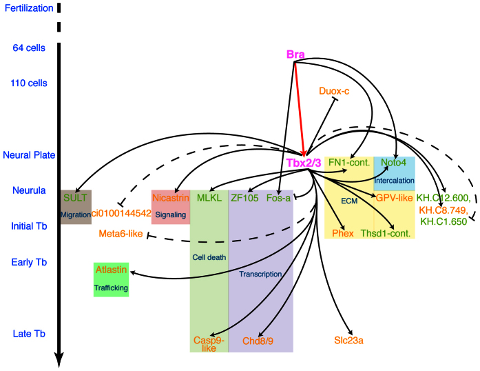 Fig. 7.