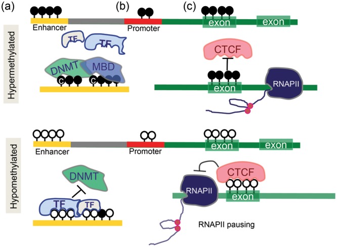 FIGURE 2: