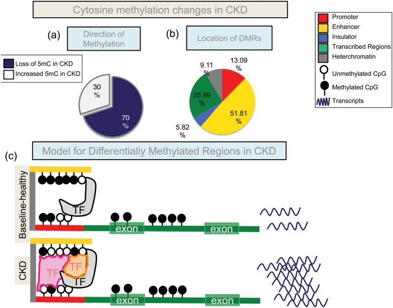 FIGURE 3: