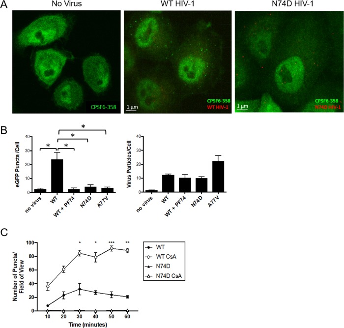 FIG 6