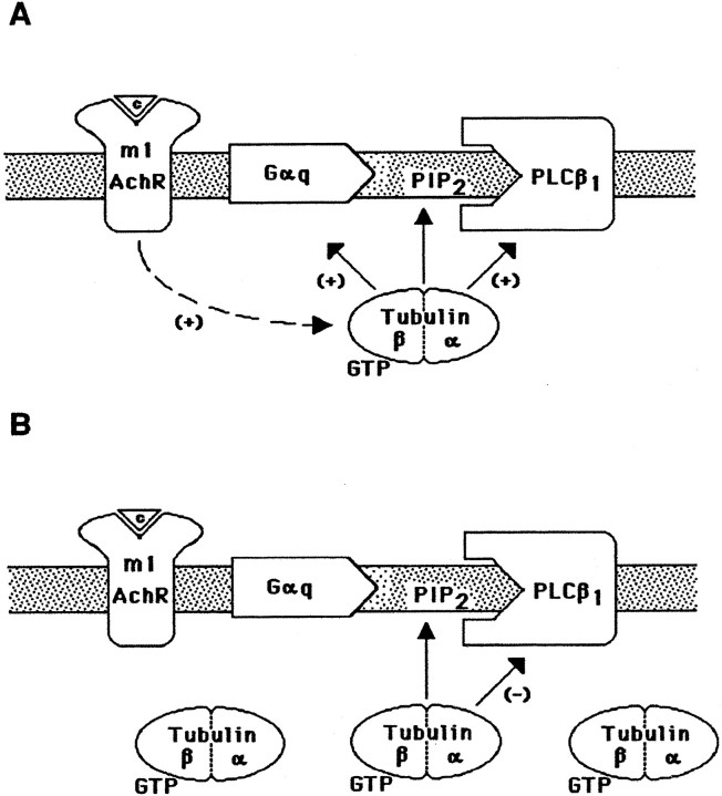 Fig. 9.