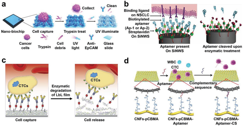 Figure 12.