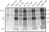 FIG. 8.