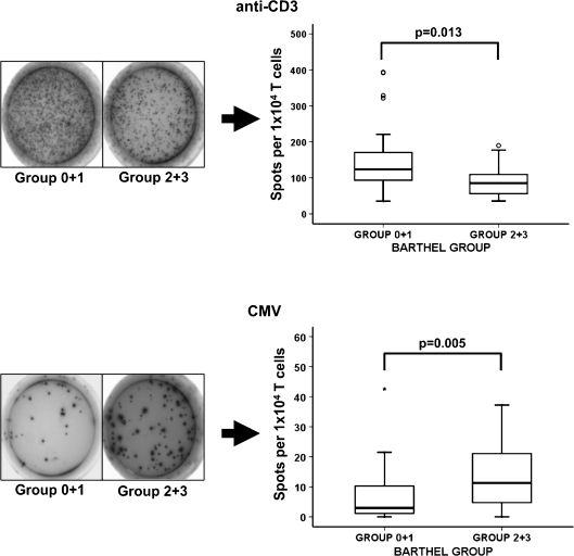 Fig. 6