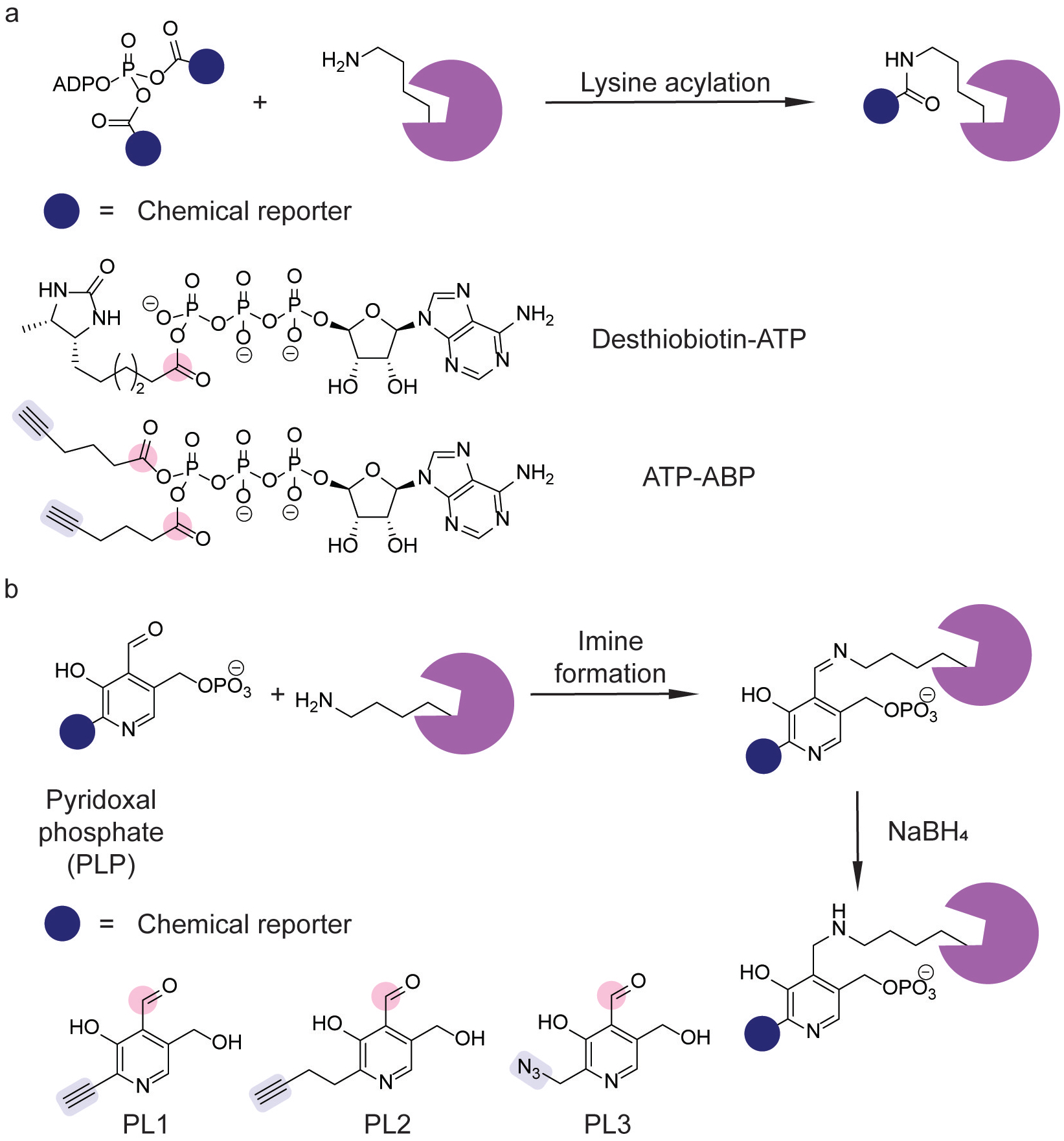 Figure 12.