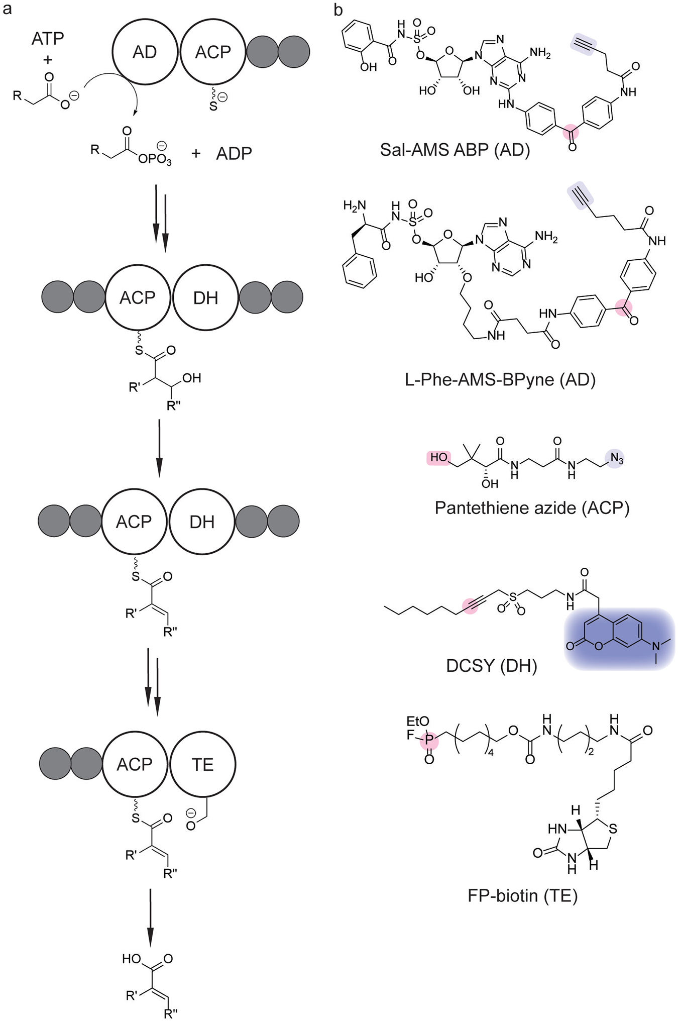 Figure 13.