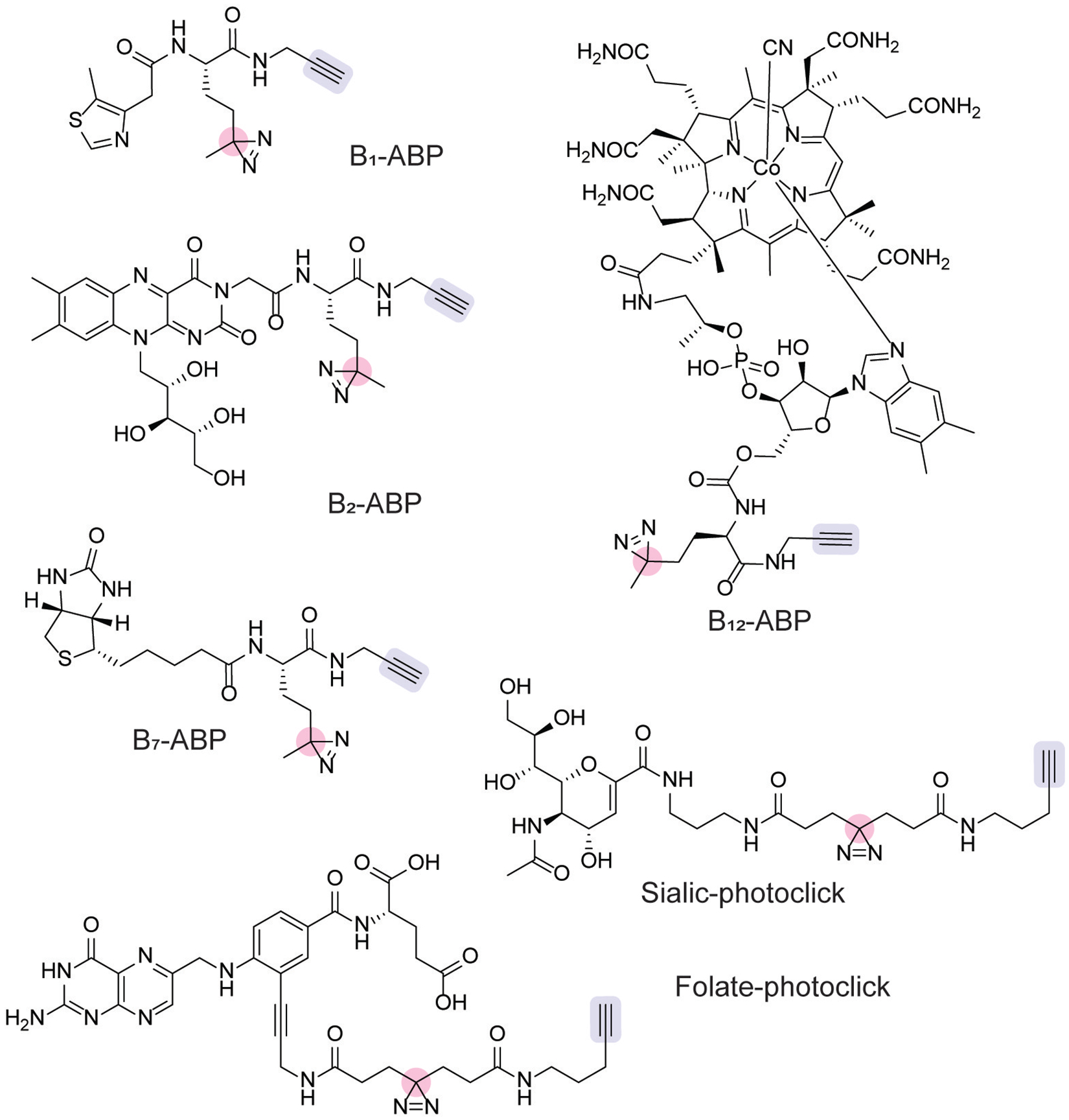 Figure 11.