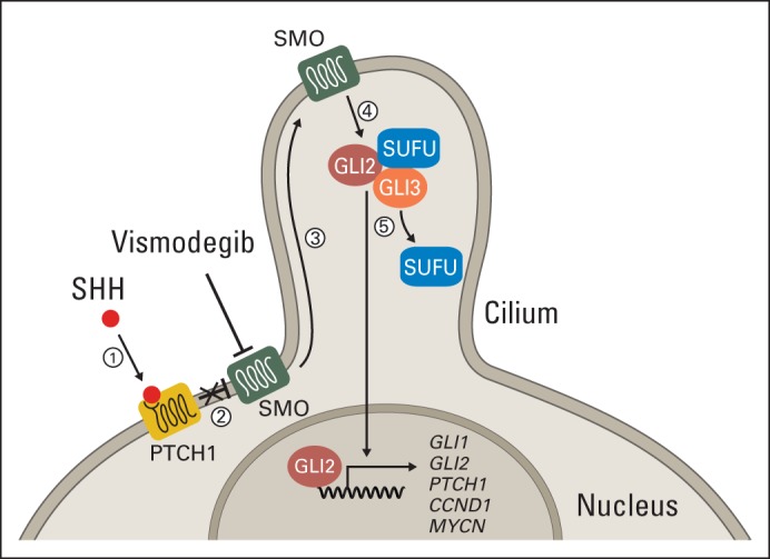 Fig 1.