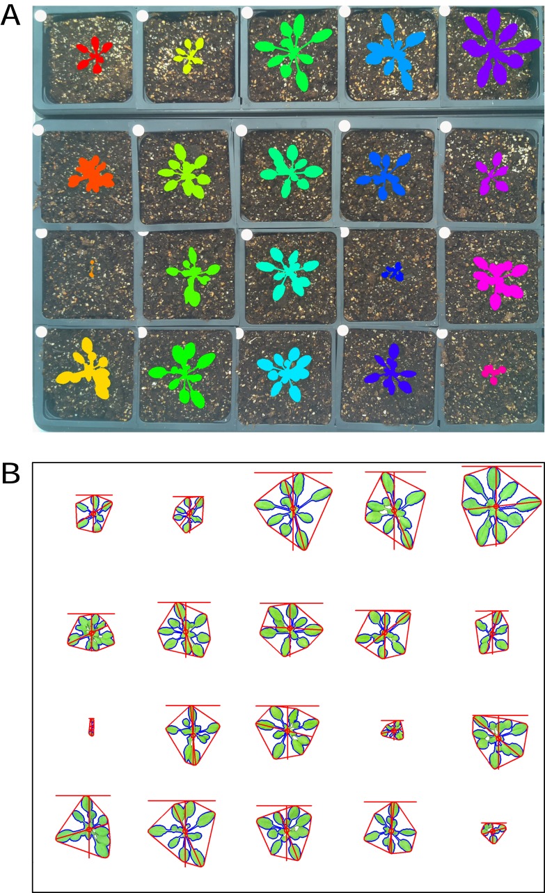 Figure 2